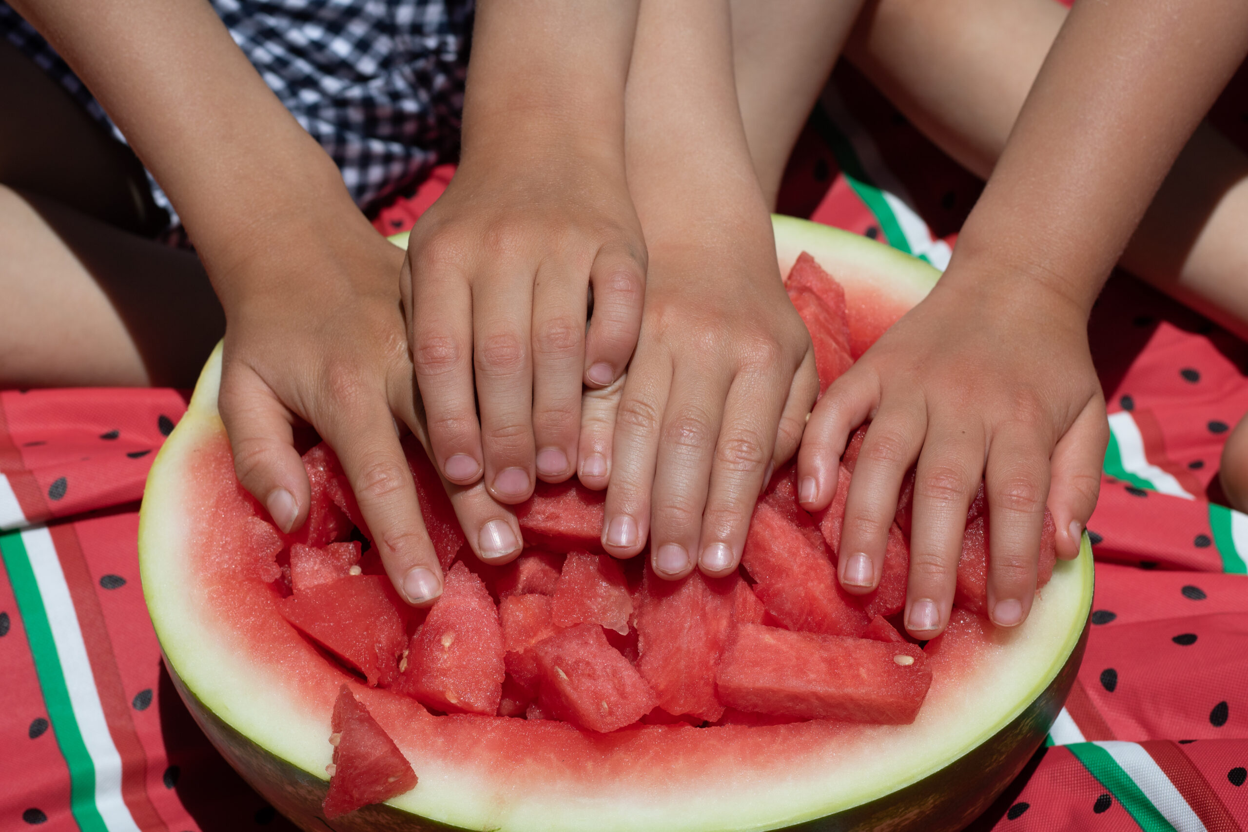 Kids; Family Photography; Watermelon